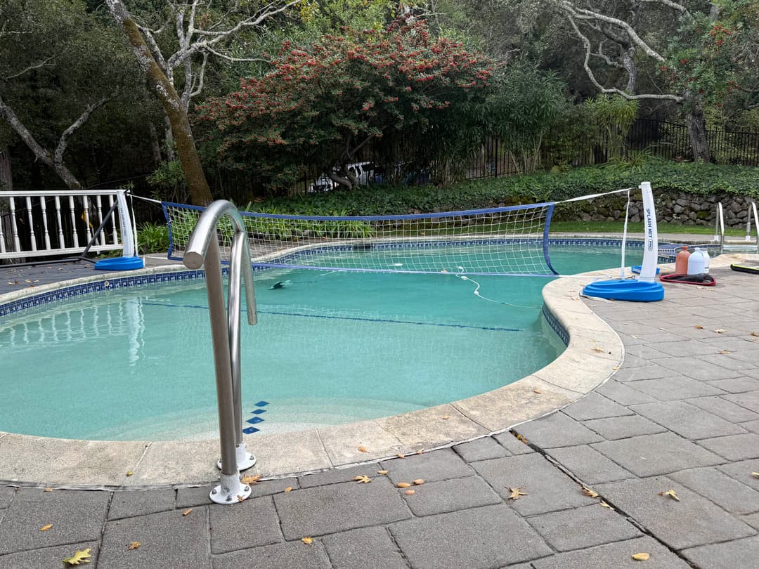 Curved residential pool cleaned and balanced for regular weekly service