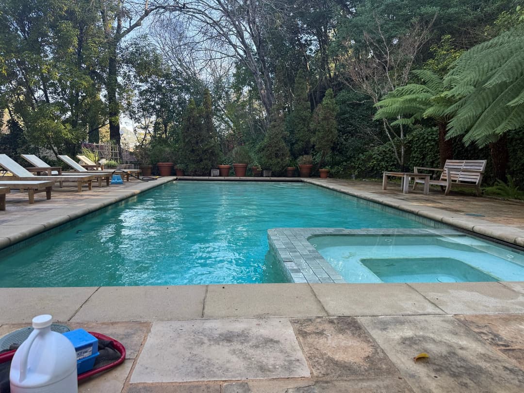 Rectangular backyard pool and attached spa with clear water and service supplies on deck in wooded Marin County yard