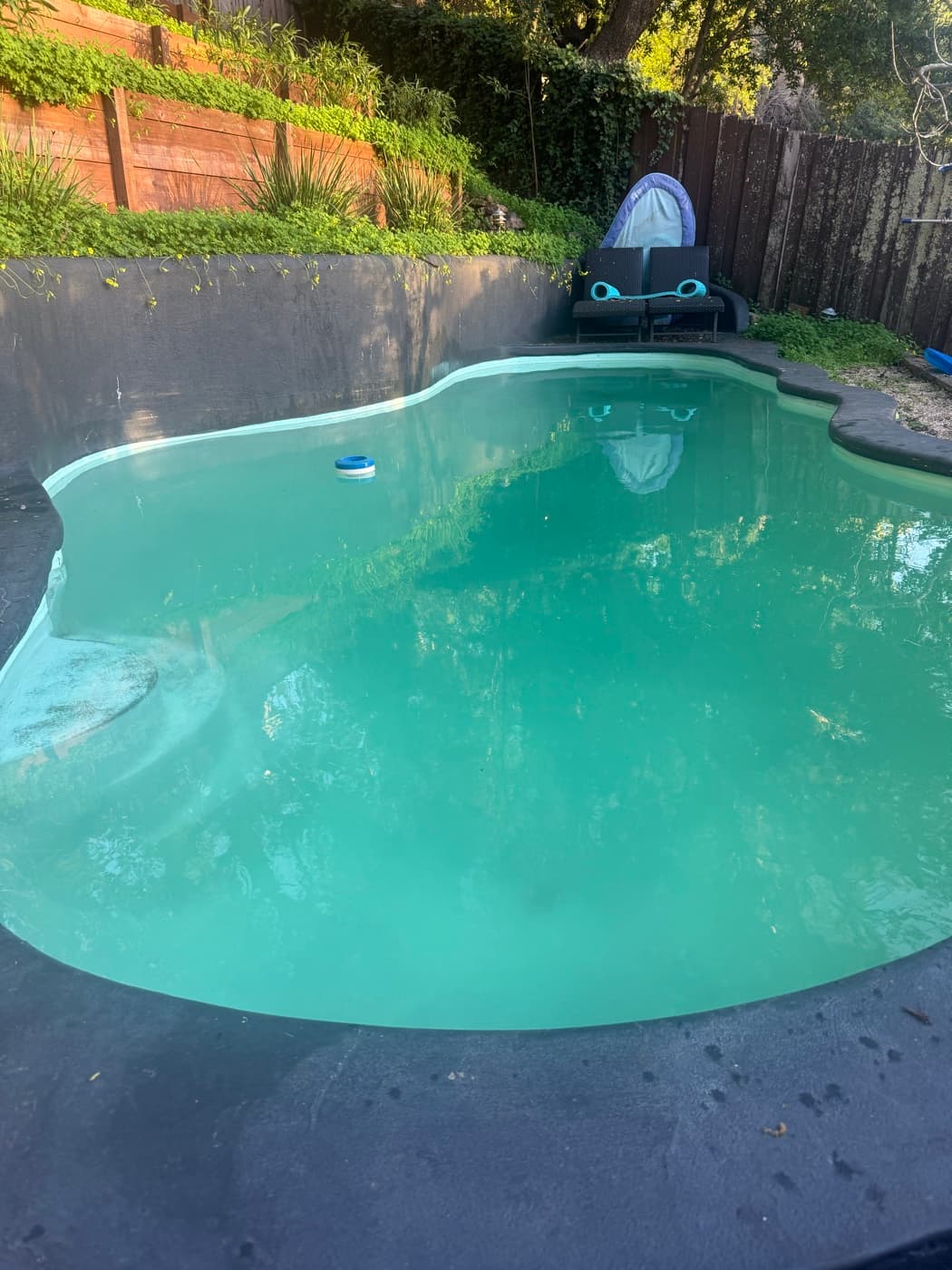 Round residential pool mid green-to-clean algae recovery treatment with water beginning to clear